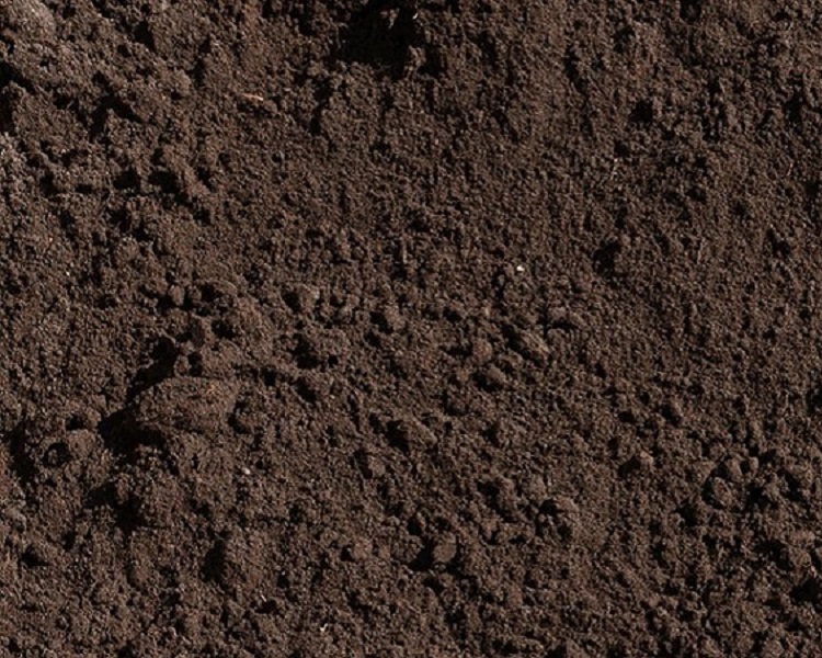 project-image